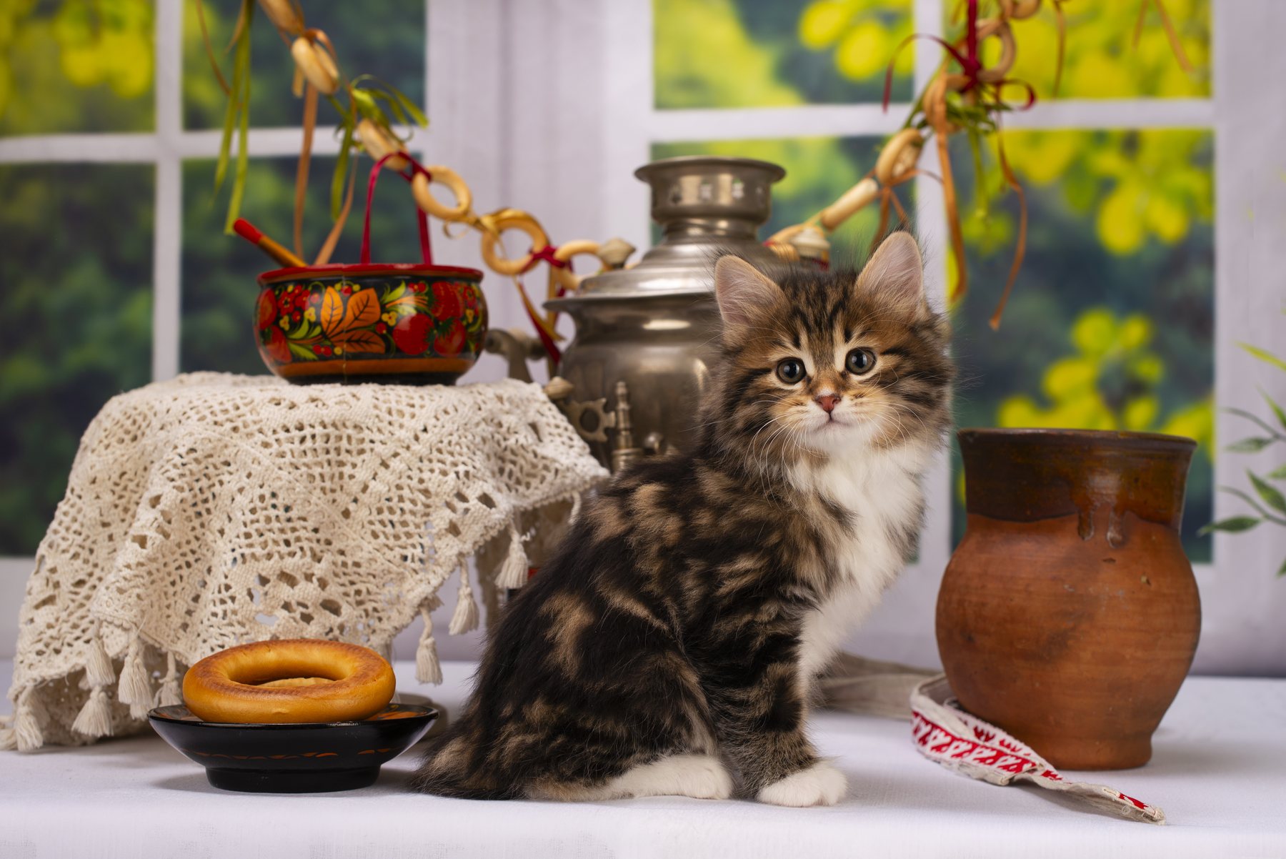 Кот у самовара